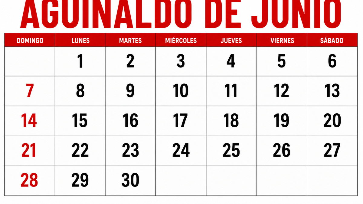 Se acerca la fecha de cobro del primer Sueldo Anual Complementario