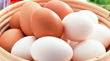 Huevos blancos y marrones: diferencias
