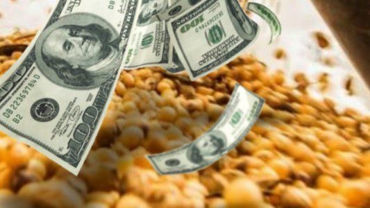 Qué esperar del mercado cambiario en los próximos meses