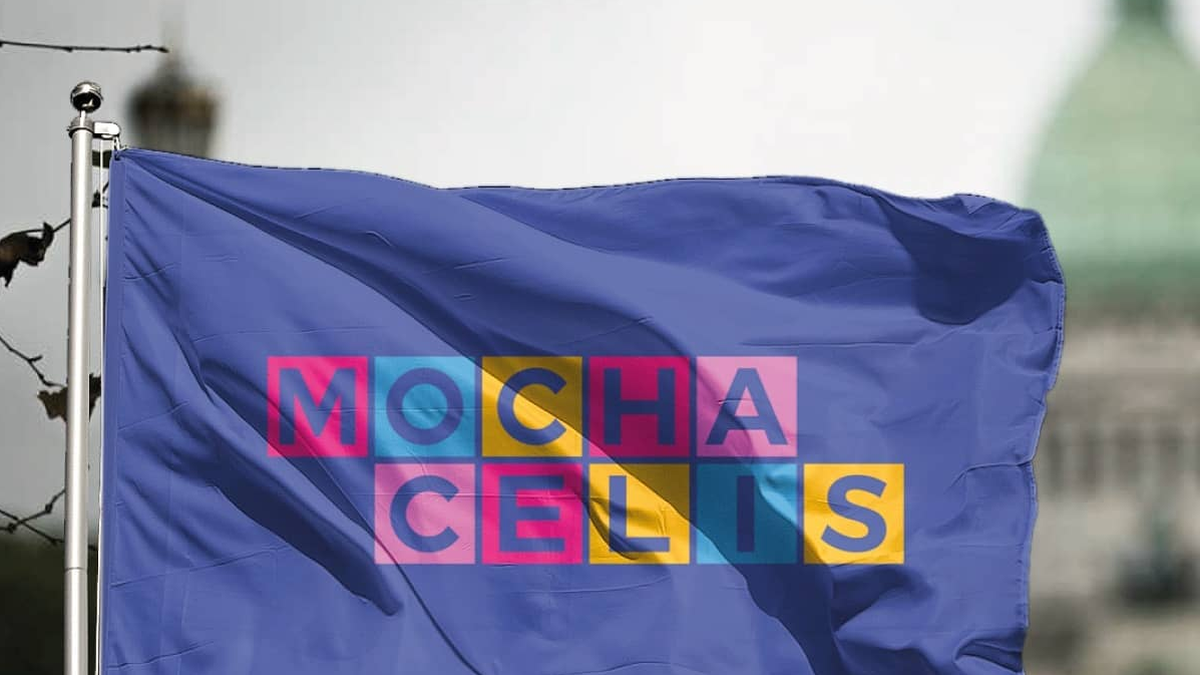 Según el relevamiento del Bachillerato Popular Mocha Celis durante la pandemia de Covid-19 sufrieron desalojos directos o indirectos unas 200 personas travestis y trans.