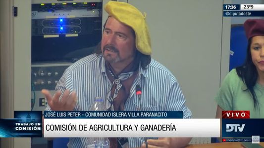 Ley de Humedales: cuáles son los cuestionamientos del INTA y sectores productivos al proyecto del oficialismo