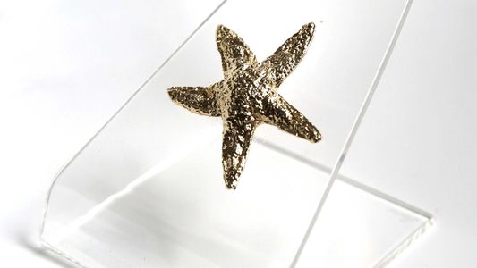 Todos los ganadores de los premios Estrella de Mar