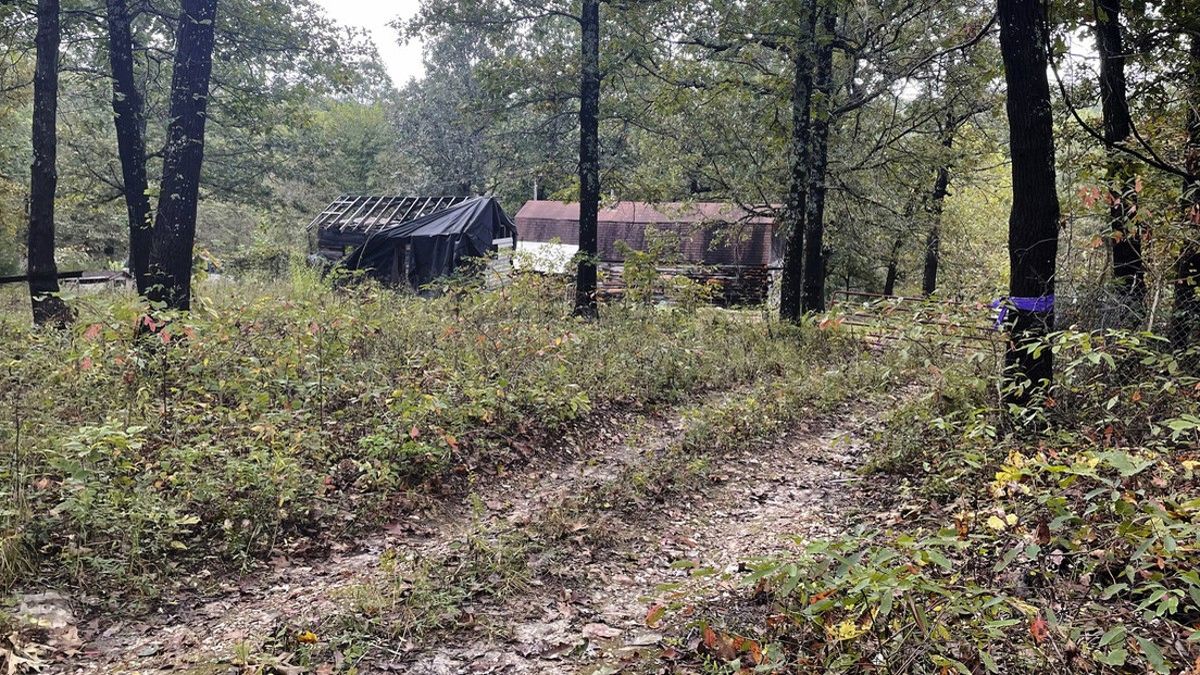 La zona donde se hallaba la jaula (Foto: gentileza: https://mf.b37mrtl.ru/).