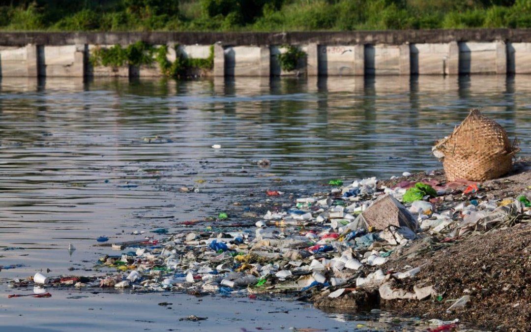 Confirmaron el procesamiento del ex presidente del Mercado de Liniers por contaminación del Arroyo Cildañez