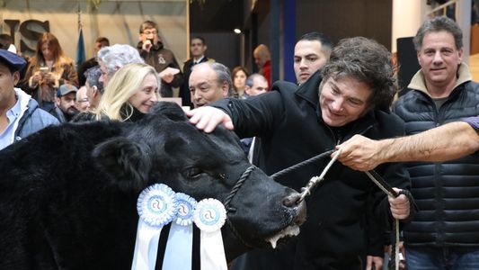 Lo que dejó la Semana de Mayo: de la gira interminable de Milei a la promesa de un nuevo pacto