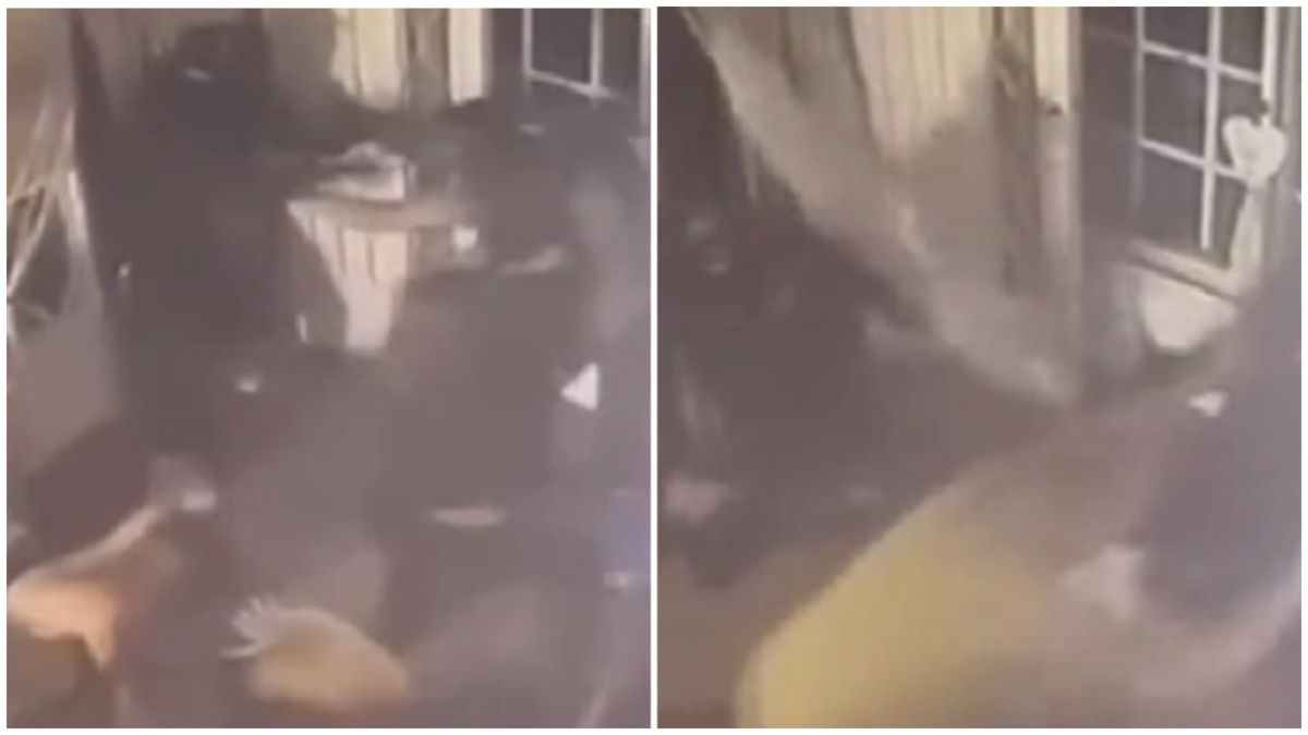 Agarró una sartén y le dio con todo a los ladrones que entraron a su casa. Foto: captura de video.&nbsp;
