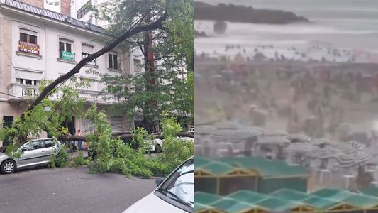 Temporal en Mar del Plata: ráfagas de 70 km por hora, destrozos y cómo sigue el clima hoy