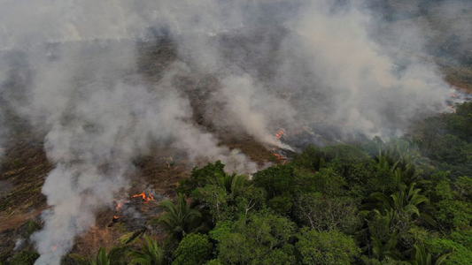 El Amazonas de Brasil y las desoladoras imágenes tras un mes récord de incendios