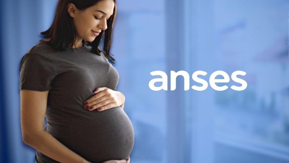AUE automática: el beneficio de ANSES que se paga solo si estás embarazada