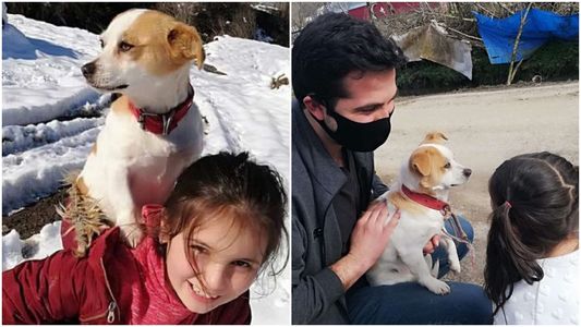 Una nena caminó kilómetros en la nieve para llevar a su perro al veterinario