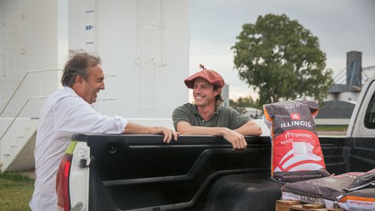 Córdoba: cada vez más productores siembra maíz Illinois