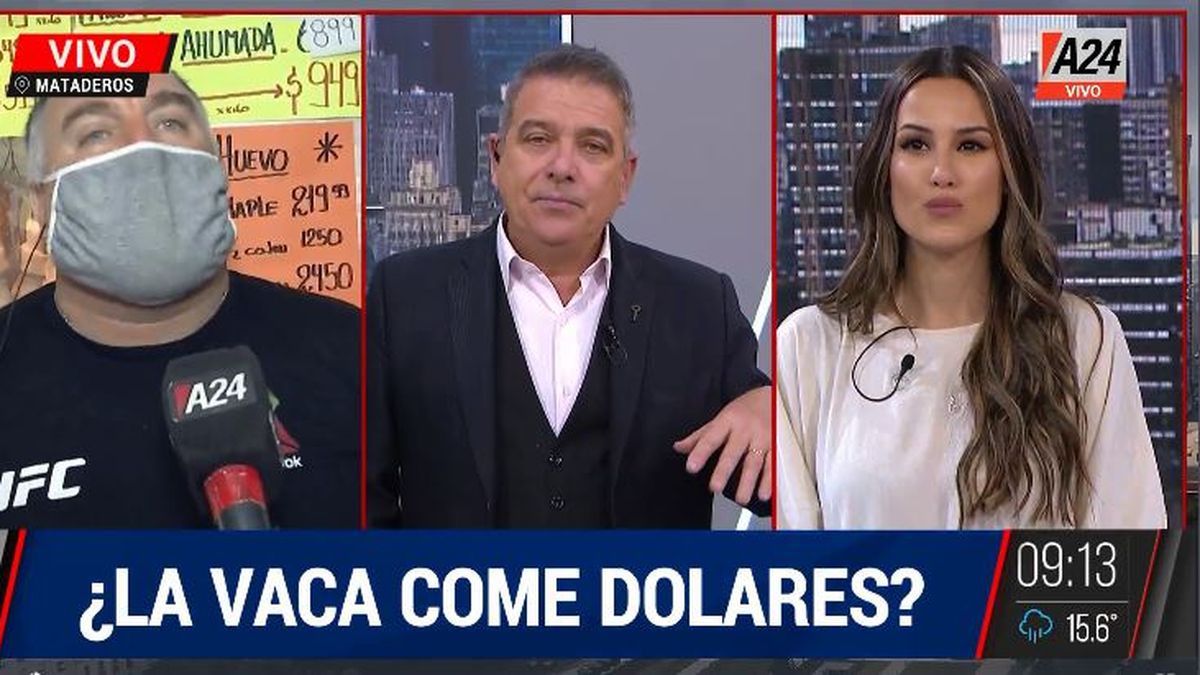 El precio de la carne: ¿las vacas comen dólares y desaparecerán cortes? (Captura de Tv)