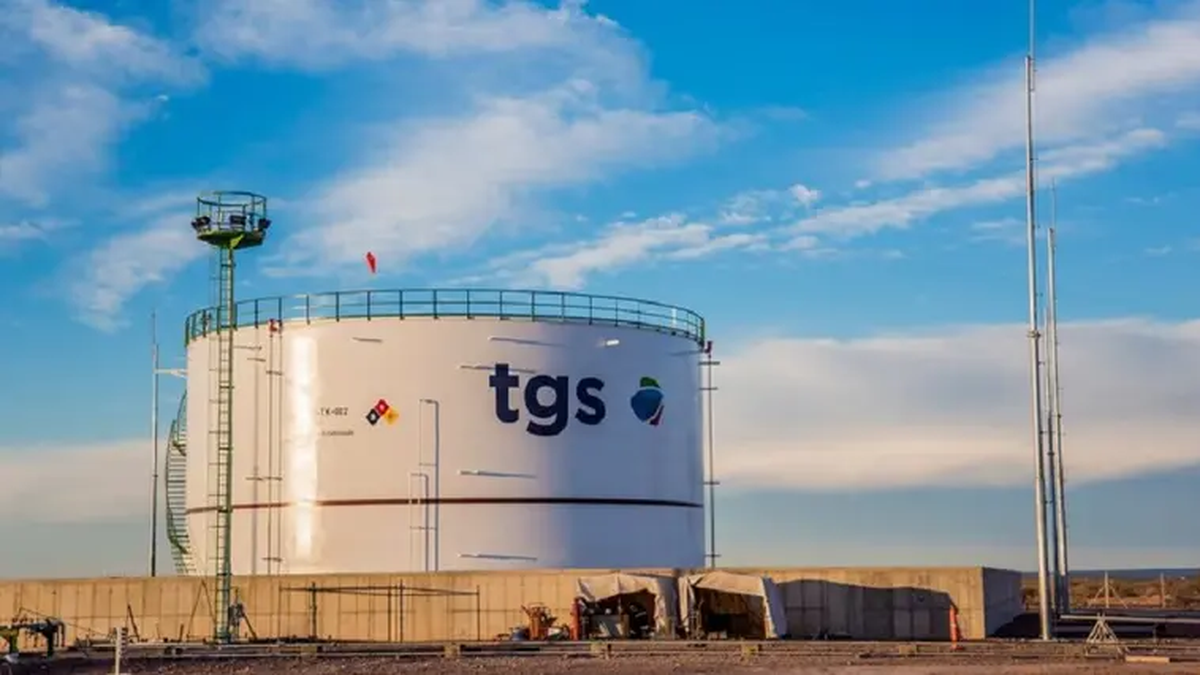TGS anunció un proyecto de USD 3.000 millones para procesar líquidos de gas