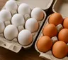 Huevos blancos o marrones: cuál conviene comprar y qué diferencia hay realmente