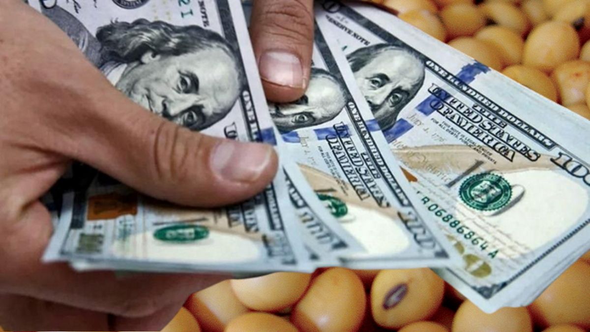 La cantidad de dólares ingresados a través del dólar soja ya se encuentra por encima de la meta de US$ 5.000 millones (Foto: Télam).
