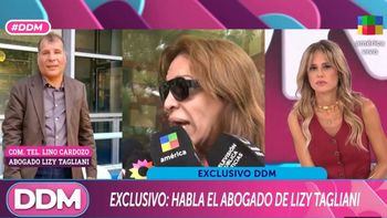 El abogado de Lizy Tagliani habló de la causa y contó qué pasa con la adopción de su hijo