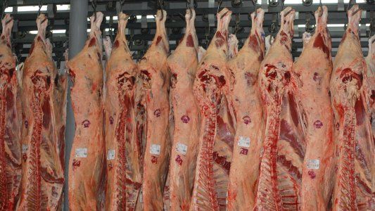 Crece la producción de carne pero con reses más livianas