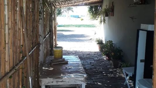 Rescataron a dos jubilados que eran explotados en un campo de Rosario