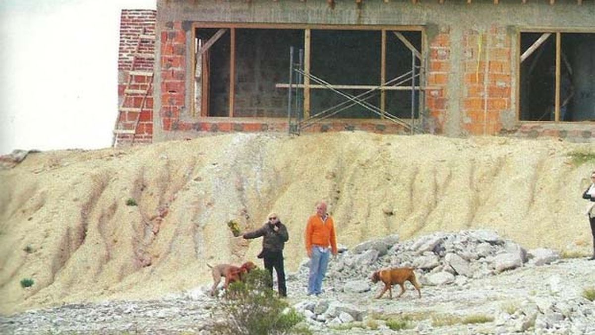 0016916571.jpg