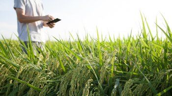 Giacobbe: El campo debe empezar a hablarle a los que están disgustados