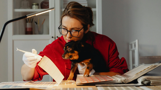 Otorgan 3 millones y medio de pesos al SUERTUDO propietario de este billete de 50 pesos