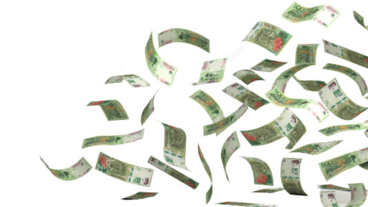 Encuesta Basta Baby: ¿cuál es el panorama económico de la Argentina?