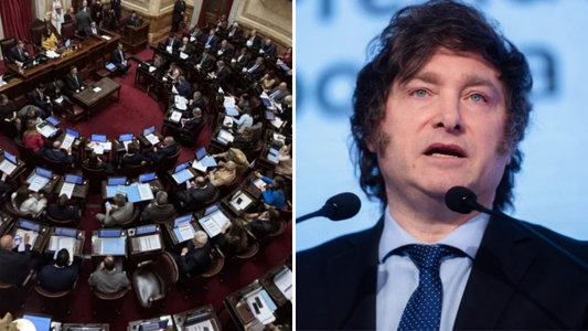 El Senado reactivó la Ley de Discapacidad y modificó la utilización de los DNU