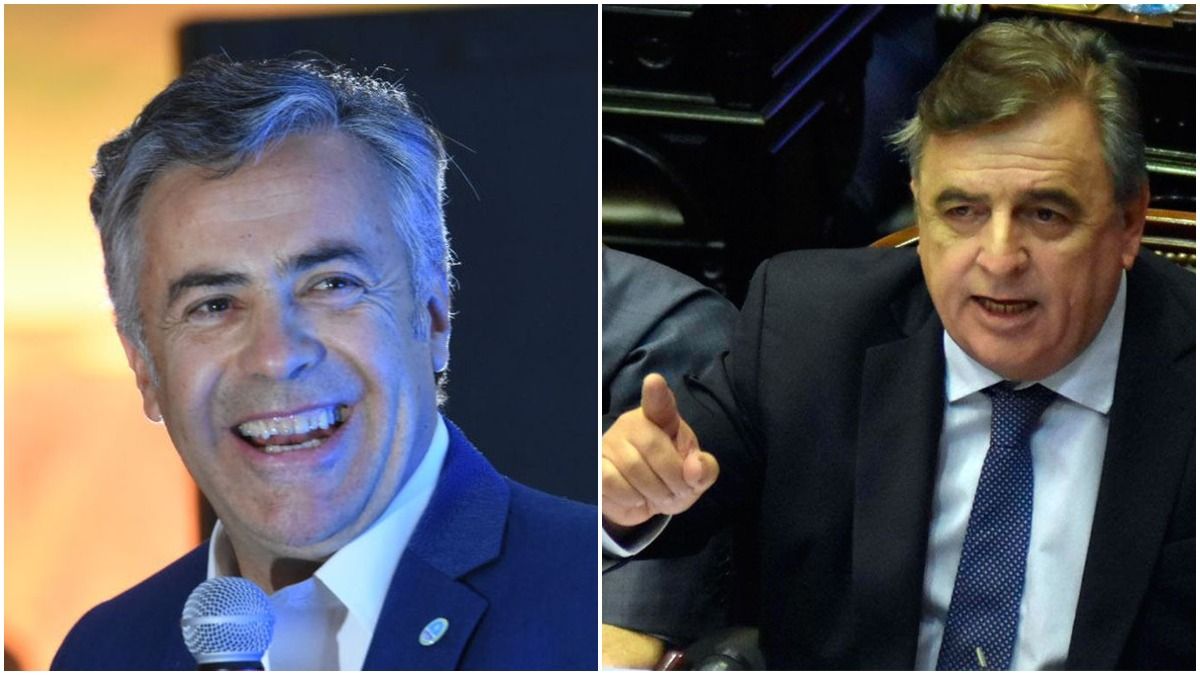 Cornejo y Negri se refirieron a la renuncia de Máximo Kirchner.