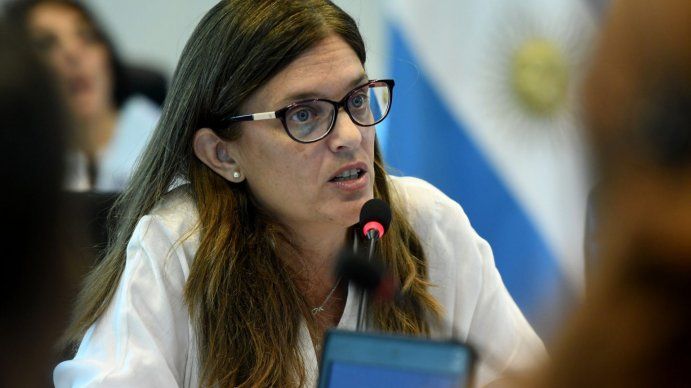 Salud pública, igualdad y libertad de acción, los argumentos de los 16 expositores a favor de la despenalización