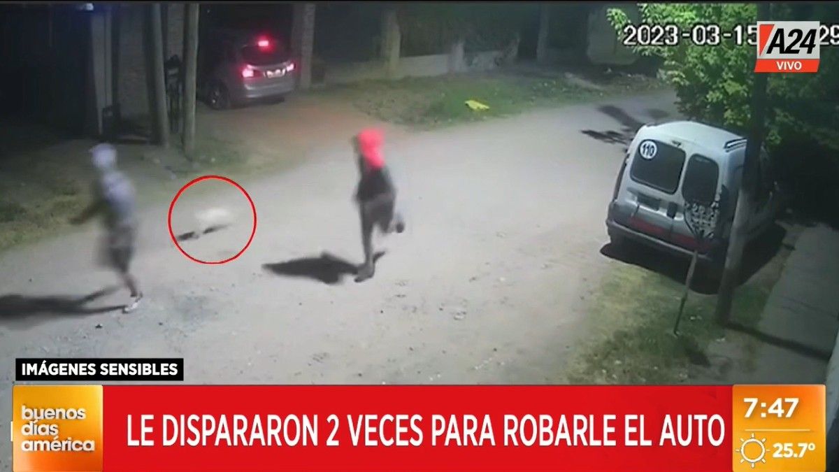 La mascota persigue a los malhechores. Foto: captura de video.&nbsp;