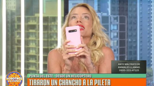 La bronca de Nicole Neumann por el video del chancho arrojado a una pileta: No lo puedo entender