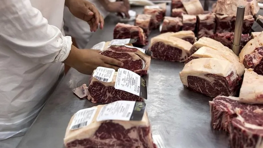 Exportaciones de carne: reportan niveles récord para el sector