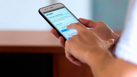 Mi ANSES: Qué trámites y consultas puedo hacer con Clave de Seguridad Social