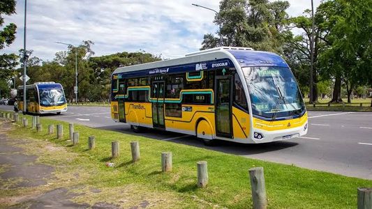 TramBus en la Ciudad de Buenos Aires: los cambios que ya rigen en las calles de Caballito y Almagro