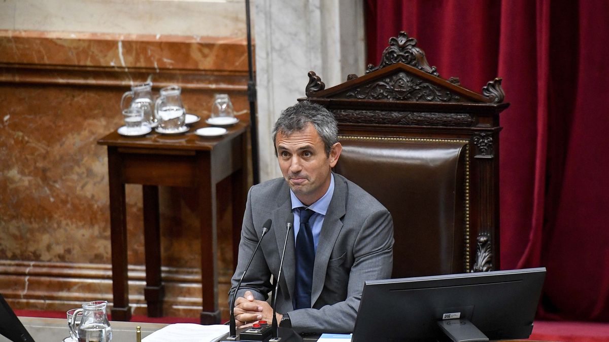 Martín Menem redujo el costo de la Cámara de Diputados. (Foto: Télam)
