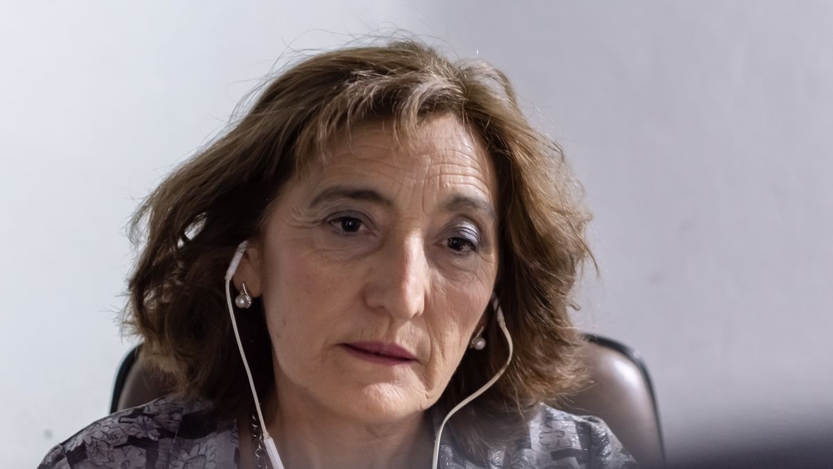 Marcha atrás en el proyecto de reforma del INTA: una de las autoras ...