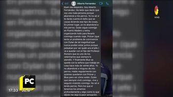 Alberto Fernández respuesta a Fantino por Dylan.jpg