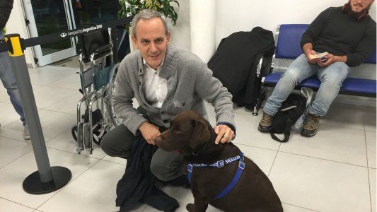 “Me gustaría vender pasajes a 200 pesos”, el sueño que el CEO de FlyBondi ahora puede cumplir