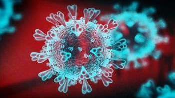 Coronavirus: Israel detectó 20 casos de una subvariante de Ómicron. Coronavirus: Israel detectó 20 casos de una subvariante de Ómicron.
