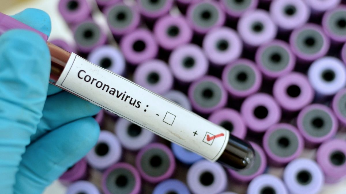 Coronavirus: revelan cuál es la variante de Ómicron preponderante en el país
