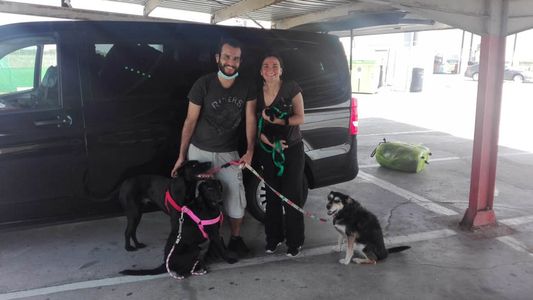 Se mudó a Portugal y pide ayuda para no dejar abandonada a su perrita en Argentina