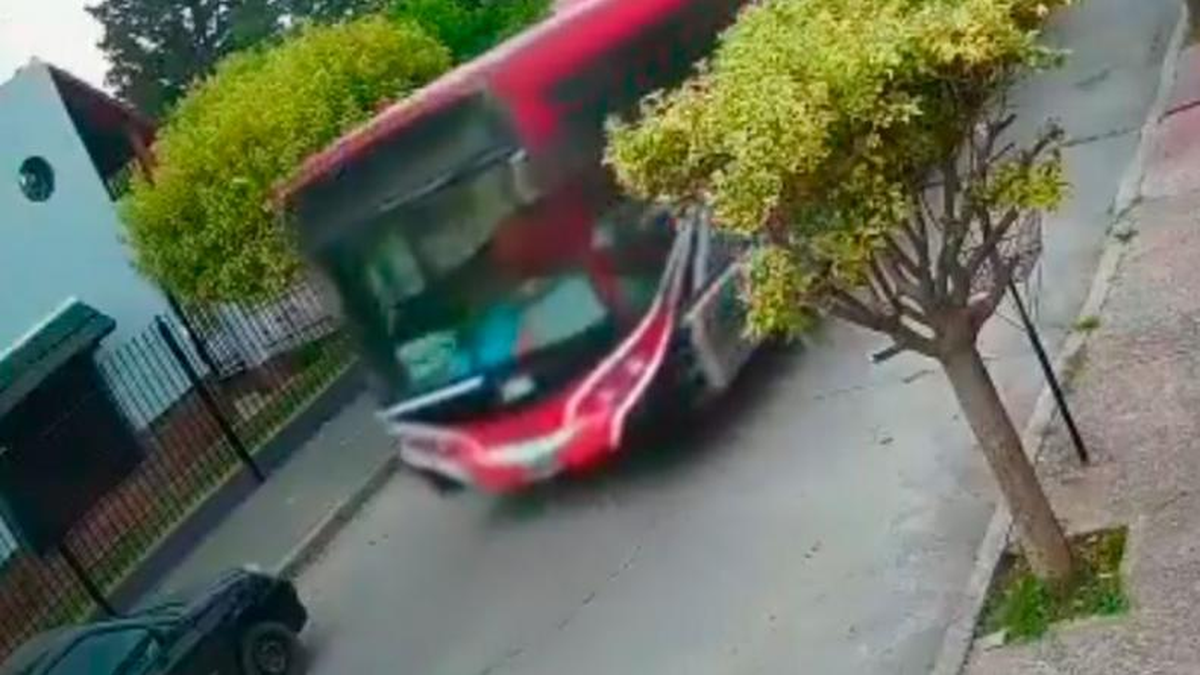 Con 12 años robó un colectivo e hizo un desastre tras chocar varios autos