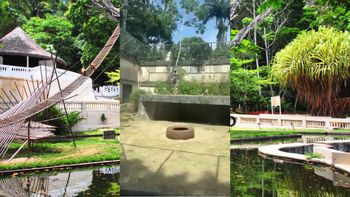 Murió atacado por una leona tras invadir su jaula en un zoológico y los testigos lo grabaron