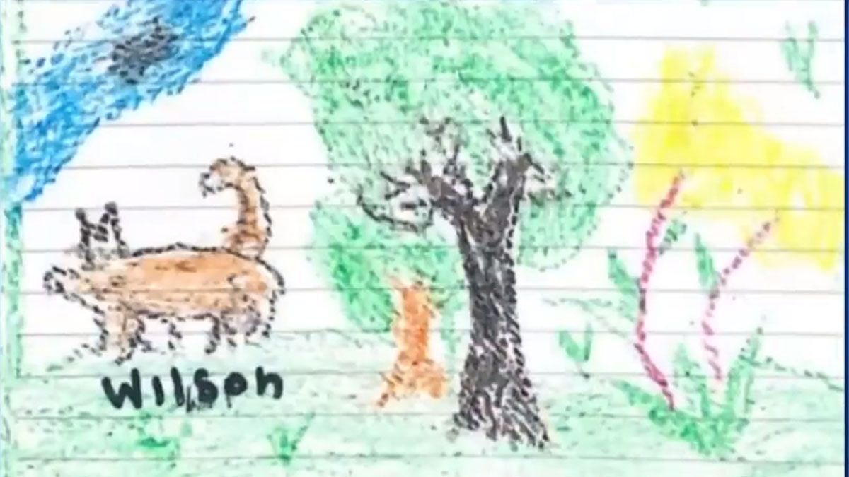 Los chicos sobrevivientes de la selva incluyeron al perro Wilson en sus dibujos mientras se recuperan en el hospital. (Foto: captura de pantalla) Los chicos sobrevivientes de la selva incluyeron al perro Wilson en sus dibujos mientras se recuperan en el hospital. (Foto: captura de pantalla)