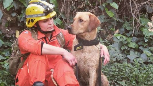 Conmoción en Córdoba por la muerte de una bombera que murió tras denunciar un abuso