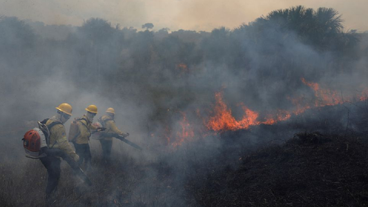 El Amazonas de Brasil y las desoladoras imágenes tras un mes récord de incendios