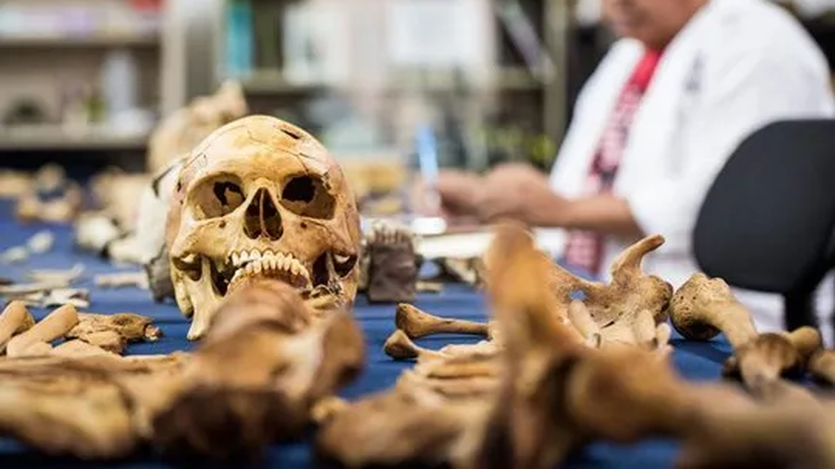 El Día del Antropólogo se celebra cada 27 de julio en homenaje a la fundación del Colegio de Graduados en Antropología