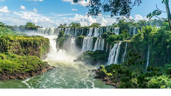 Buscan voluntarios para mudarse a una comunidad sustentable cerca de las Cataratas de Iguazú