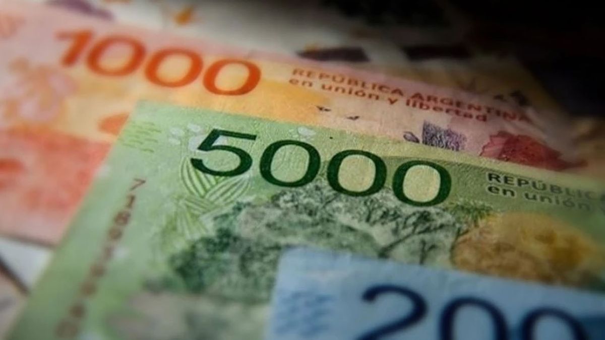 NUEVA TASA de interés para el PLAZO FIJO: cuánto gano depositando $825 mil (Foto: archivo)