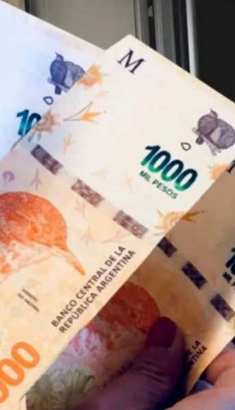ANSES confirmó un BONO para JUBILADOS en JUNIO 2024: quiénes NO lo cobran